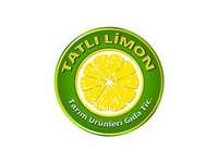 Seo Danışmanı - Tatlı Limon