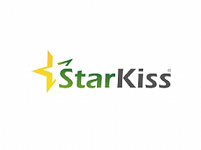 Web Yazılım Firması